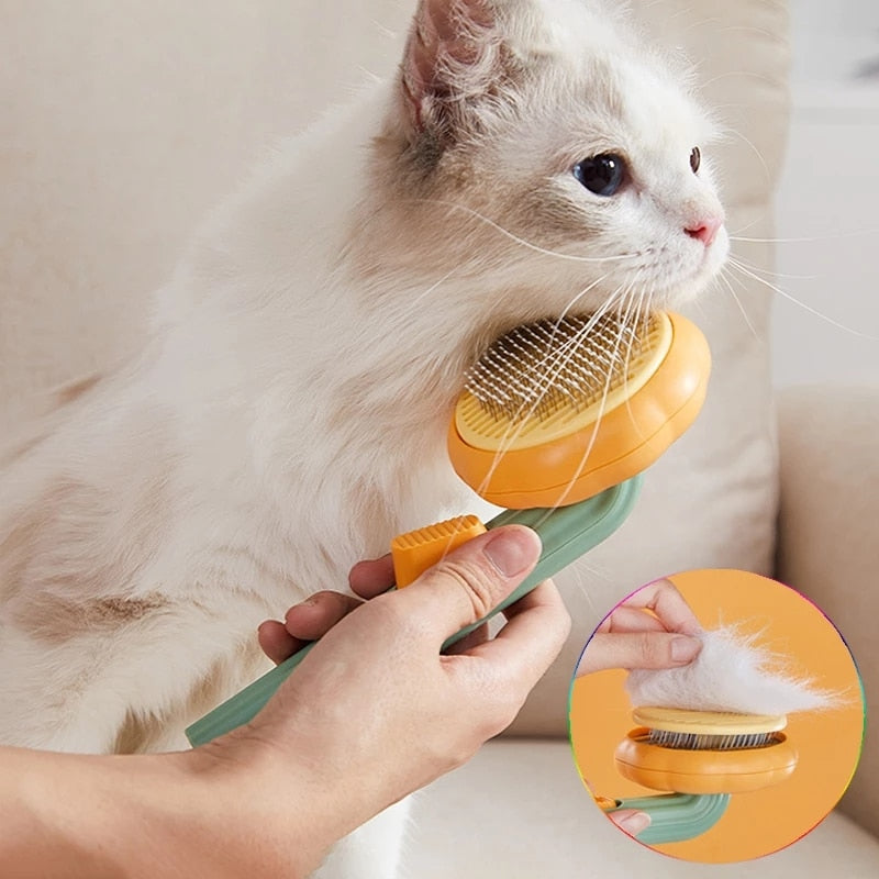 ShopTillDrop | 2022 Pumpkin Pet Brush